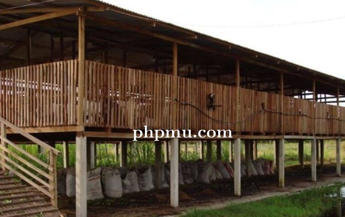 BERKAITAN DENGAN MASALAH KANDANG AYAM, MASYARAKAT DESA PANDOWOHARJO KOMITMEN JAGA KONDUSIFITAS WILAY